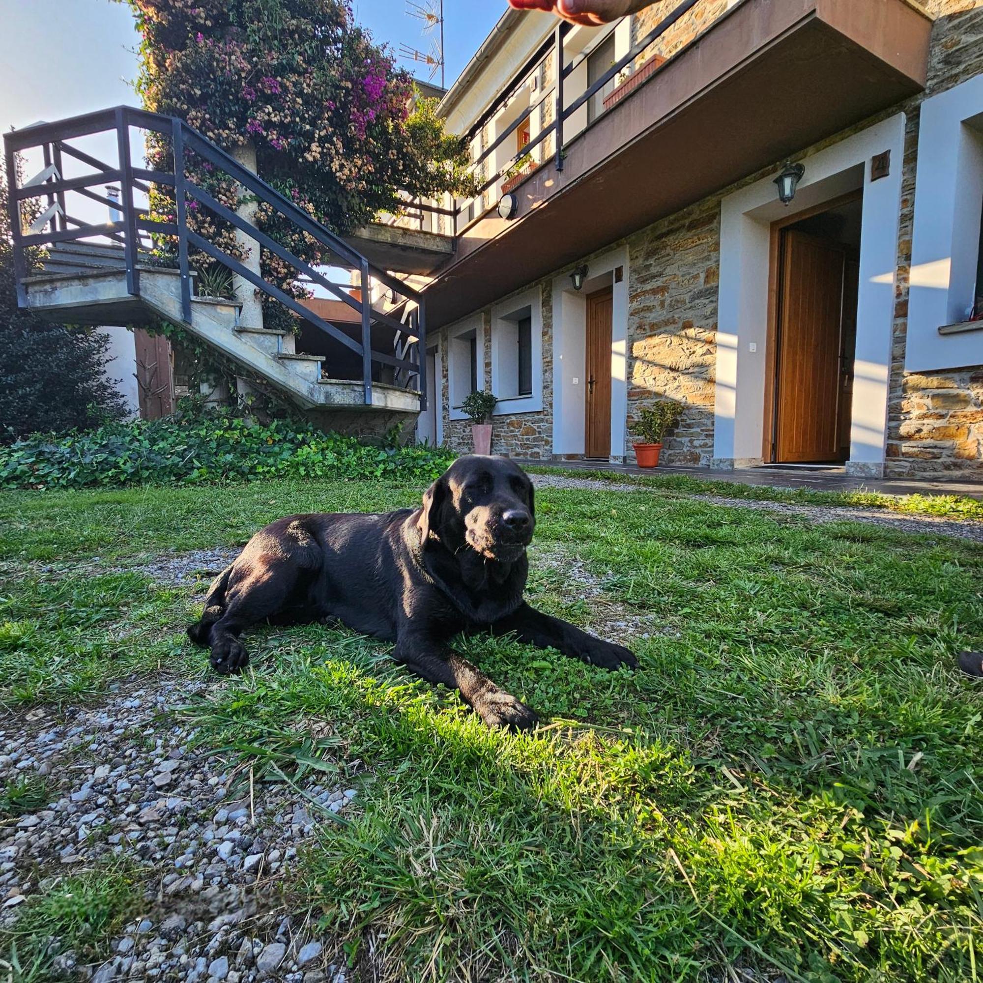 Apartamentos Castello Cartavio Eksteriør bilde