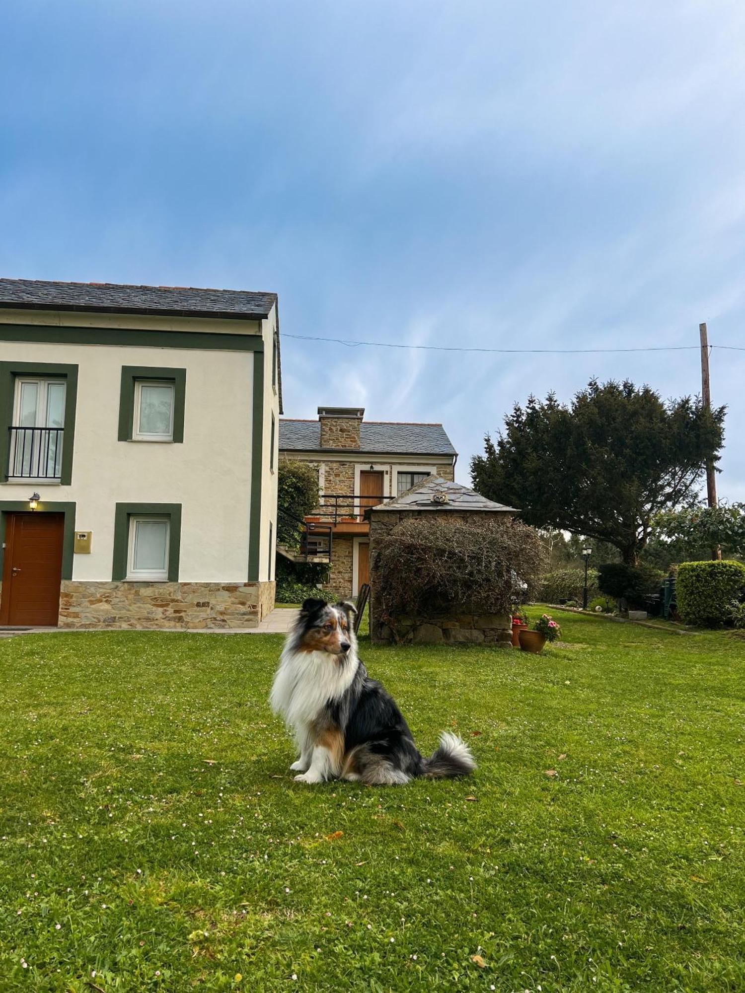 Apartamentos Castello Cartavio Eksteriør bilde